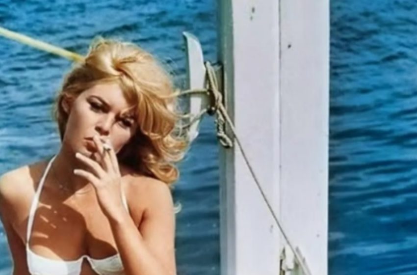 „Nie zamierzam opuszczać tego świata”: 91-letnia Brigitte Bardot przełamuje milczenie i wciąż błyszczy jako legendarna ikona francuskiego kina!