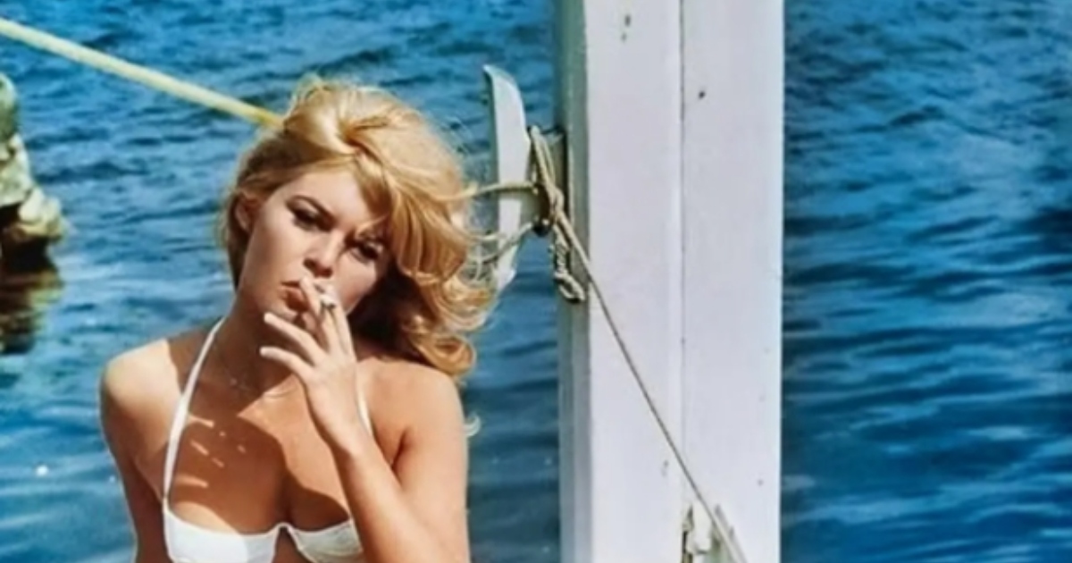 „Nie zamierzam opuszczać tego świata”: 91-letnia Brigitte Bardot przełamuje milczenie i wciąż błyszczy jako legendarna ikona francuskiego kina!